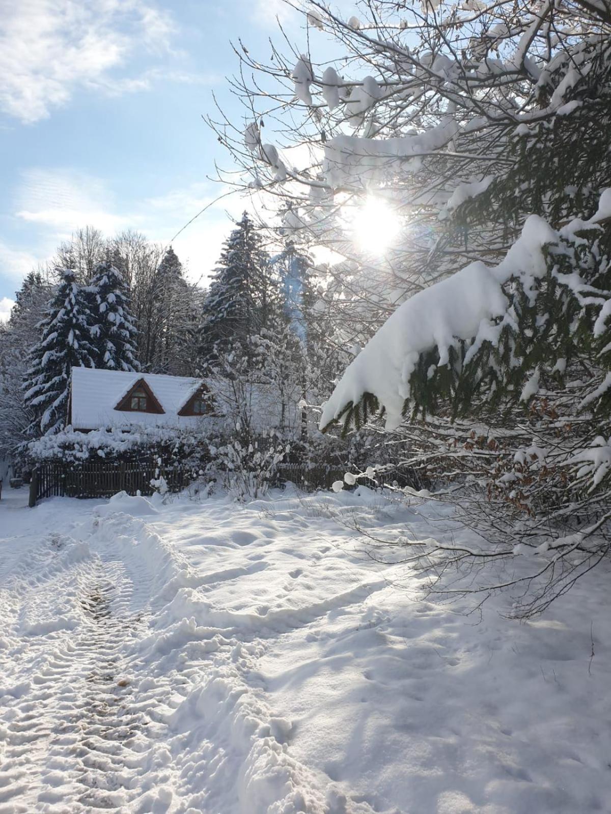 Cabana Lacrimioara Sîmbăta de Sus Exterior foto