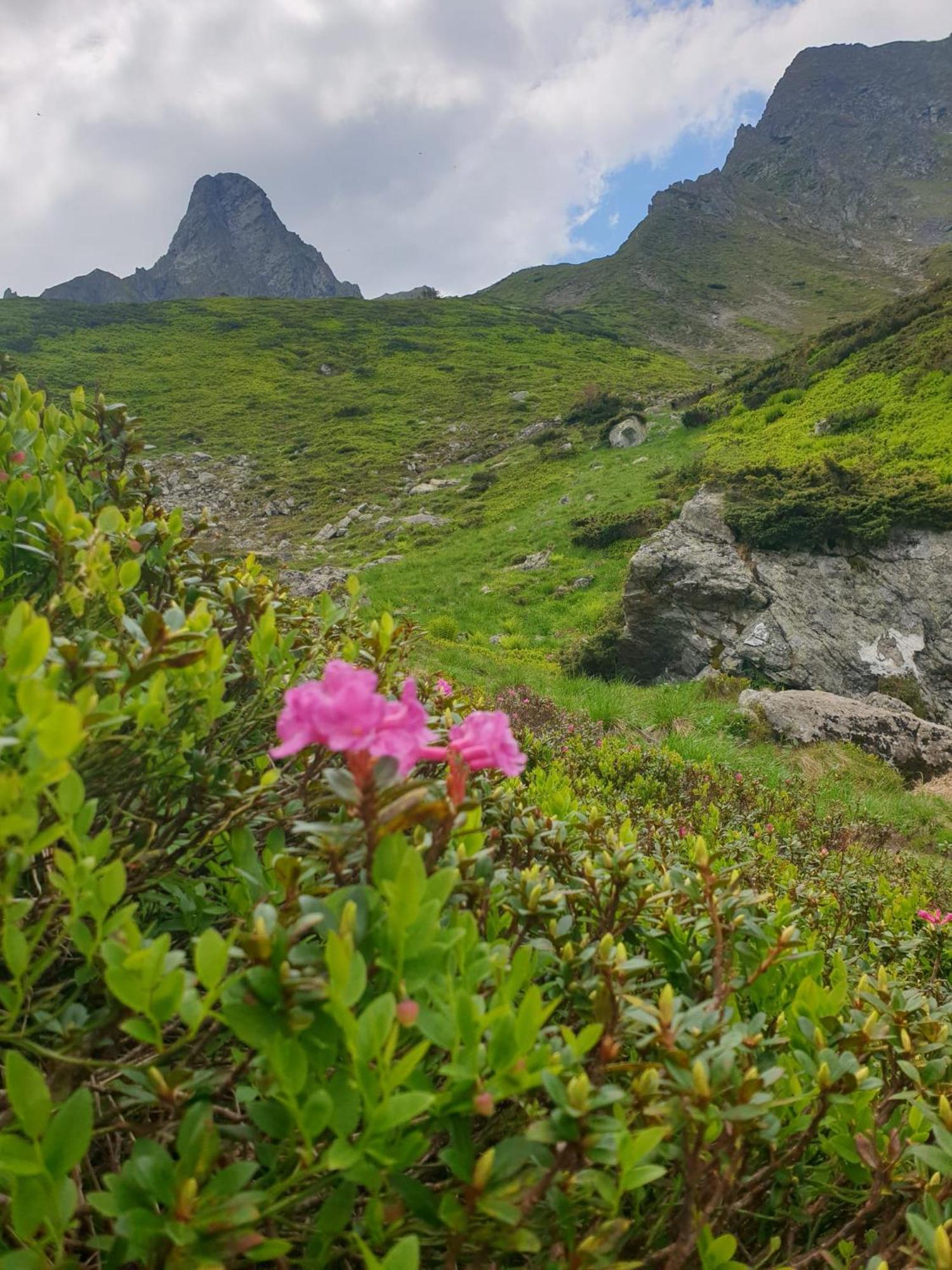 Cabana Lacrimioara Sîmbăta de Sus Exterior foto