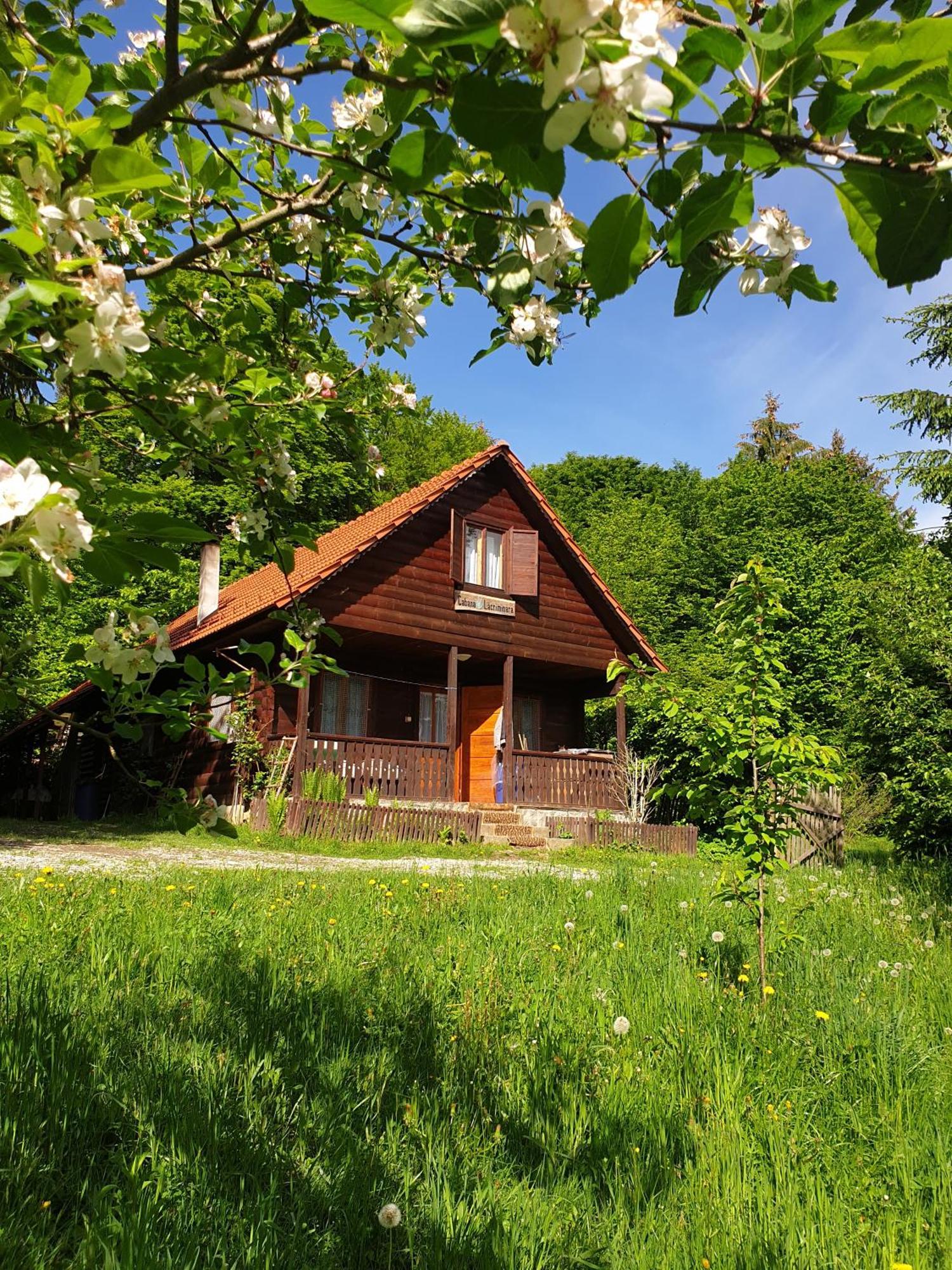 Cabana Lacrimioara Villa Sîmbăta de Sus Exterior foto