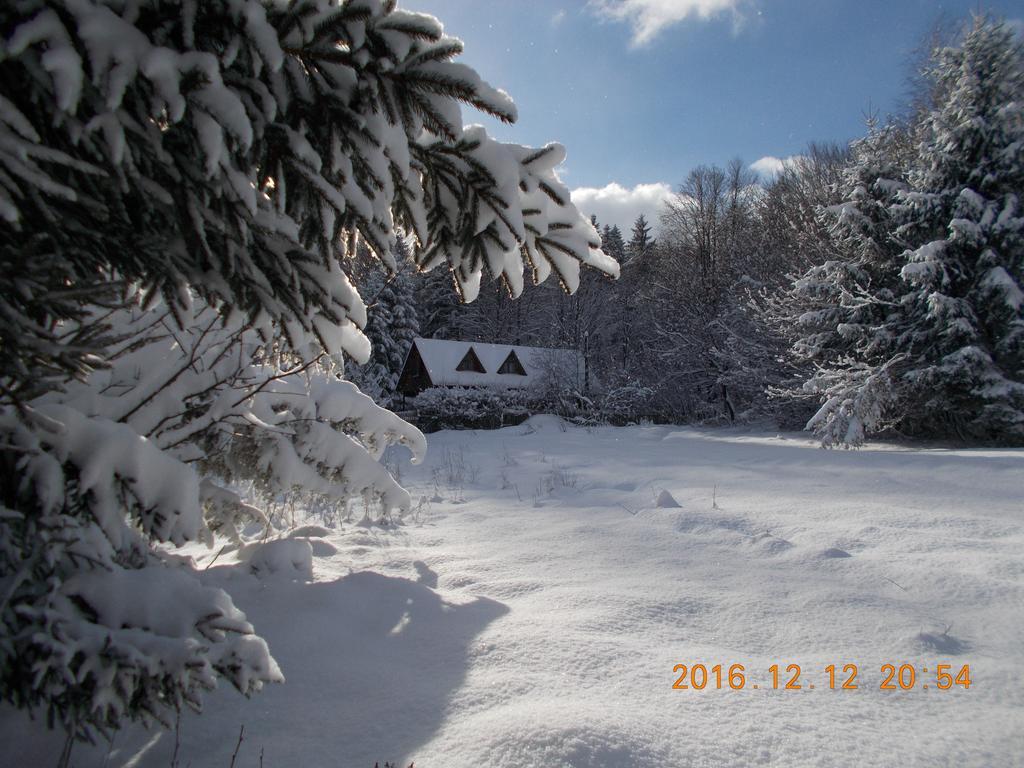 Cabana Lacrimioara Villa Sîmbăta de Sus Exterior foto